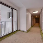 Le 305 - T3 With Garage And Beautiful Terrace